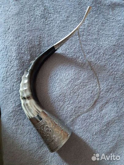 Рог горного козла