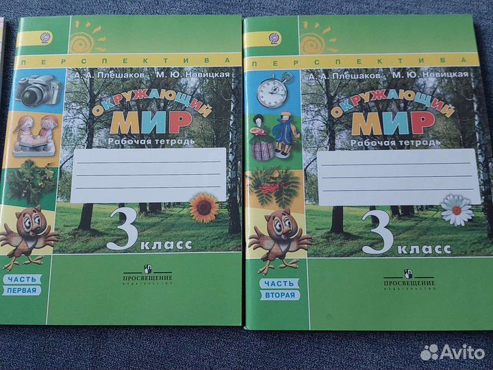 Рабочая тетрадь по окружающему миру 3 класс