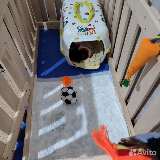 Вольер для щенков в квартиру