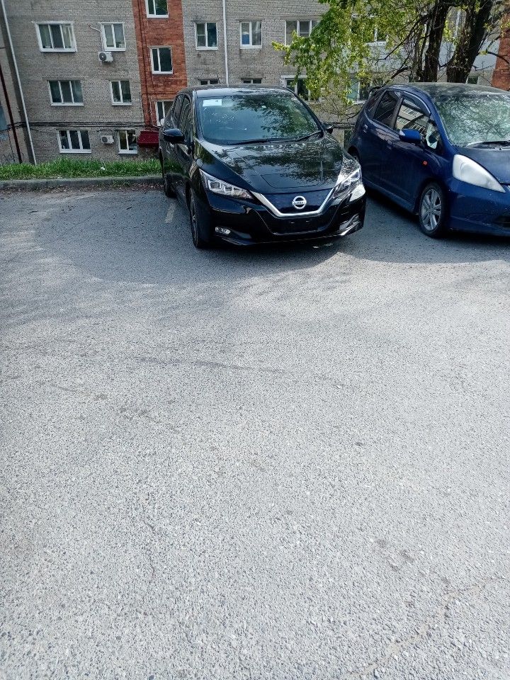 Nissan Leaf: фото владельца