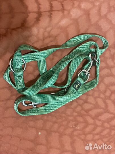 Амуниция и прочее для собак