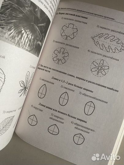 Огэ биология 2023 А. А. Кириленко