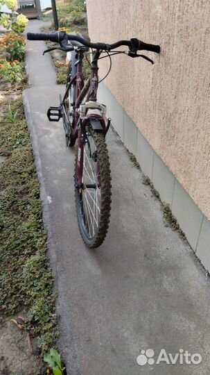 Велосипед stern vega