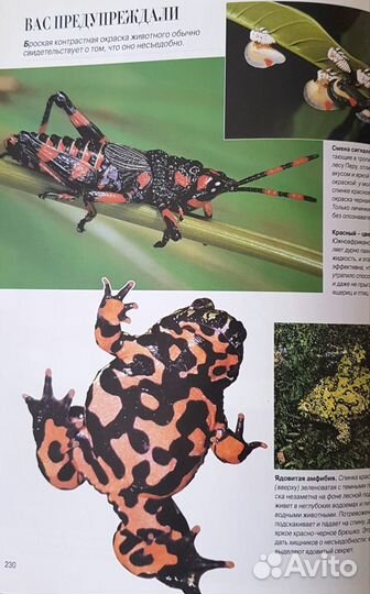 Секреты природы. Удивительный мир