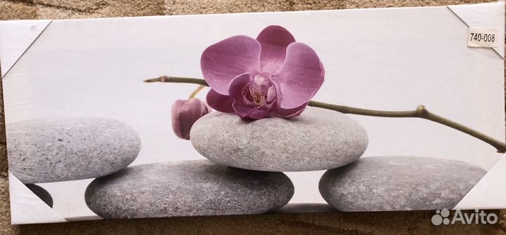 Модульная картина «Красота орхидеи»