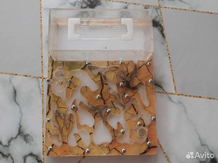 Муравьиная ферма без муравьев