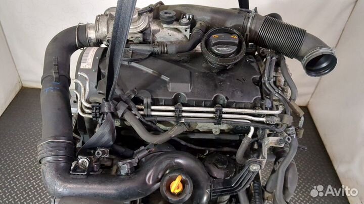 Двигатель Volkswagen Jetta 5 BXE 1.9 Дизель, 2007