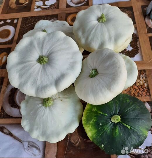 Кабачки,патиссоны