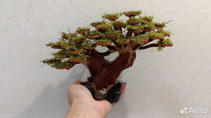 Аквариум под ключ