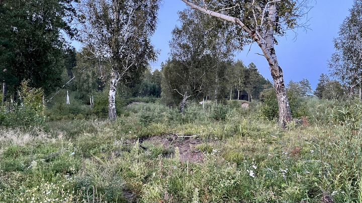 Участок 7 сот. (ИЖС)