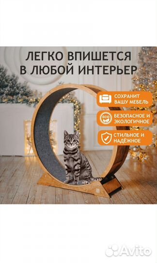 Беговое колесо для кошек