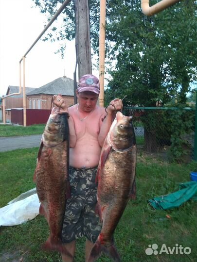 Снасти на сазана,леща,карася,толстолоба