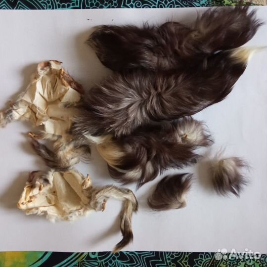 Лисья шкура