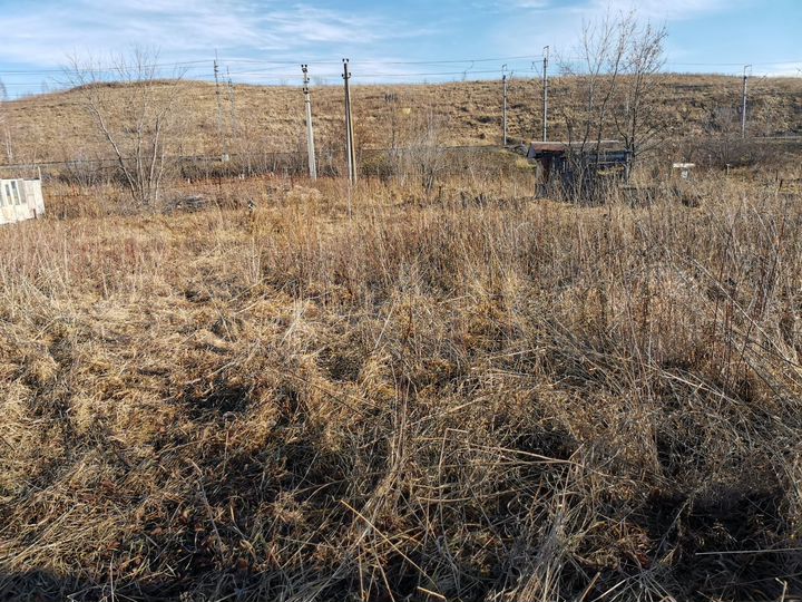 Участок 12 сот. (СНТ, ДНП)