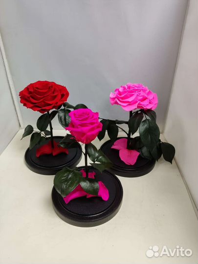 Подарок маме / Розы оптом