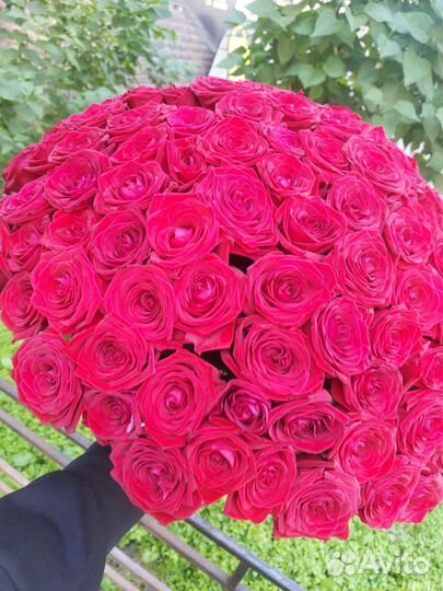 Розы цветы с доставкой