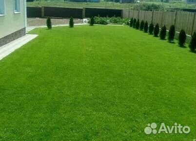 Рулонный газонУкладка Рулонного газонаГазон от про