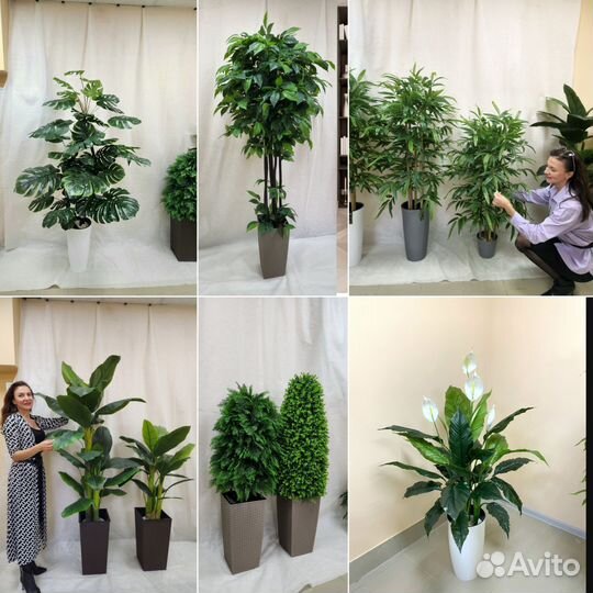 Пальма Премиум искусственная домой в кафе