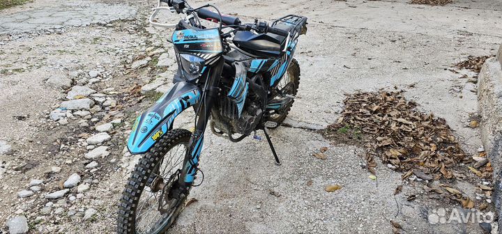 Regulmoto zr 250 pr
