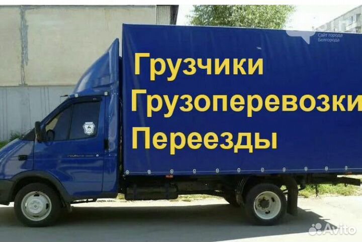 Грузоперевозки