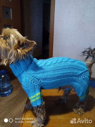Одежда для маленьких собак