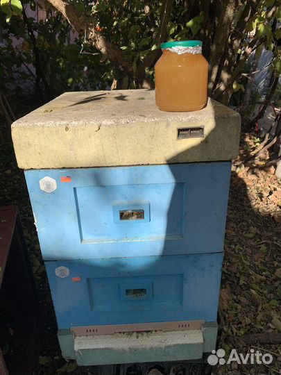 Мёд пчелиный