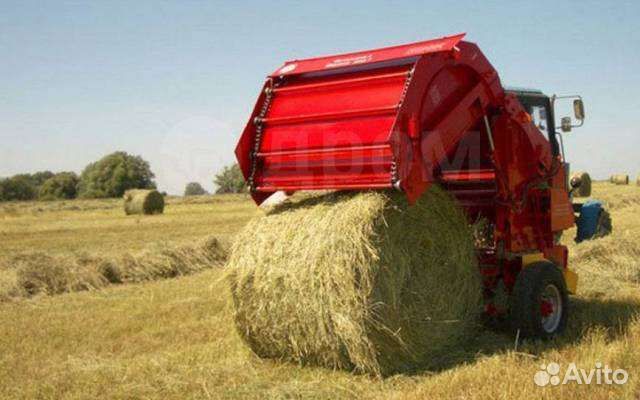 Сено в рулонах 2023