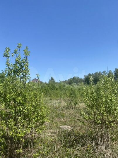 Участок 8 сот. (ИЖС)