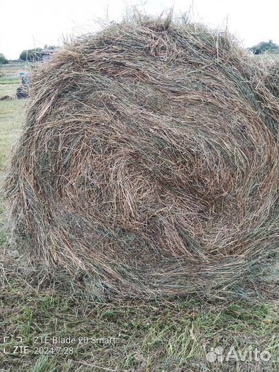 Сена в тюках