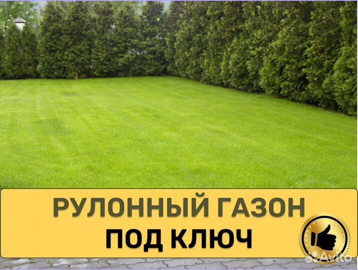 Рулонный газон с укладкой