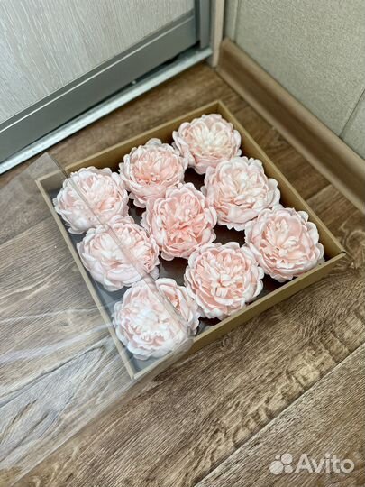 Мыльные пионы