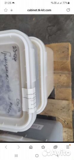 Алтайские меда 2023