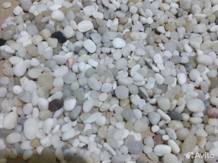 Морские камешки