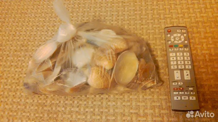 Набор ракушек и морских камней