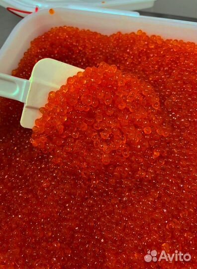 Красная икра оптом