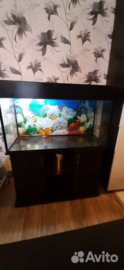 Аквариум