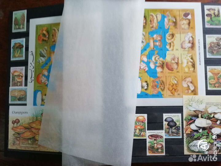 Коллекция марок с грибами