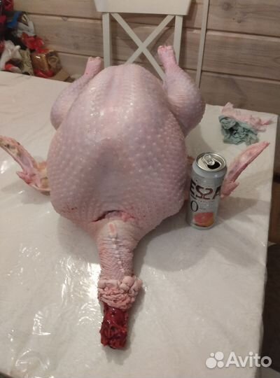 Мясо домашней индейки