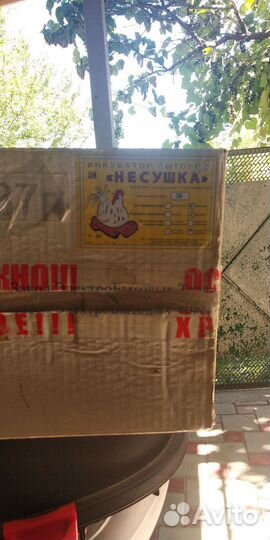 Инкубатор для яиц