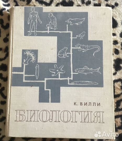 Вилли Биология
