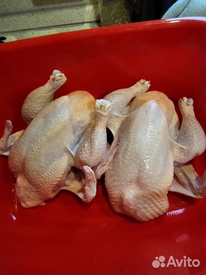 Мясо домашнего бройлера