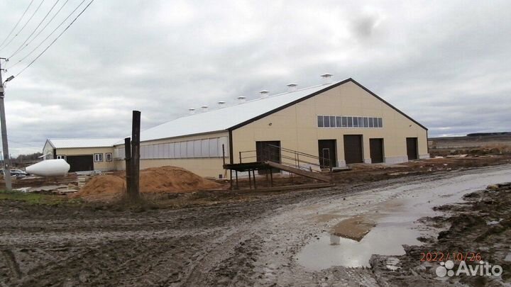 Строительство ферм 100 голов