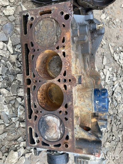 Двигатель Renault Logan