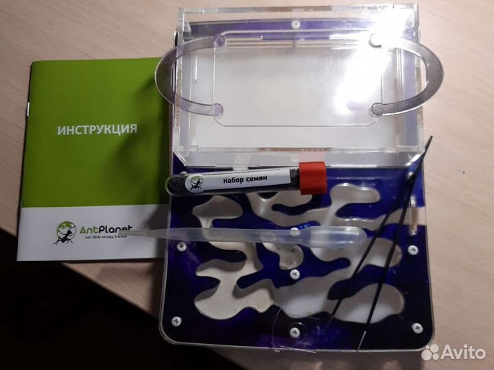 Муравьиная ферма без муравьёв