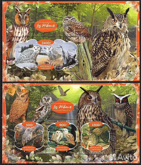 Хищные птицы Совы