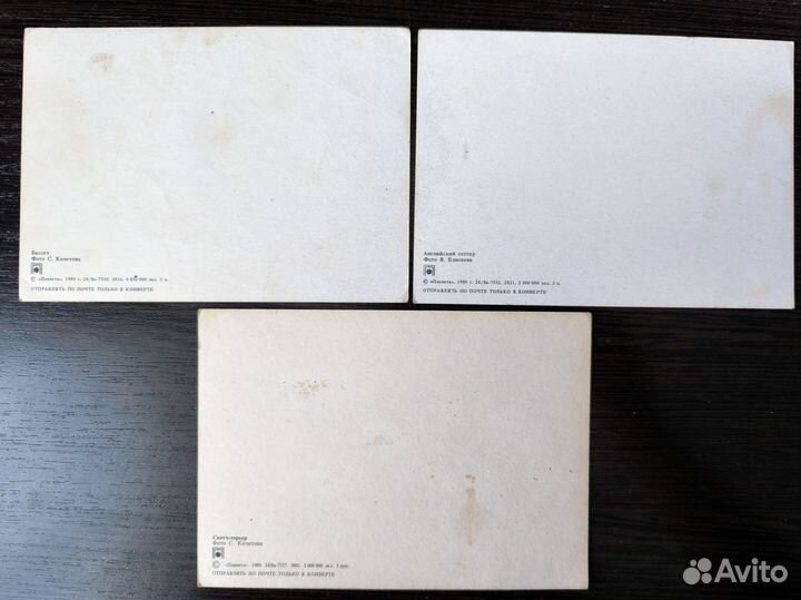 Открытки с собаками СССР 1989