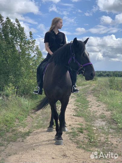 Конные прогулки