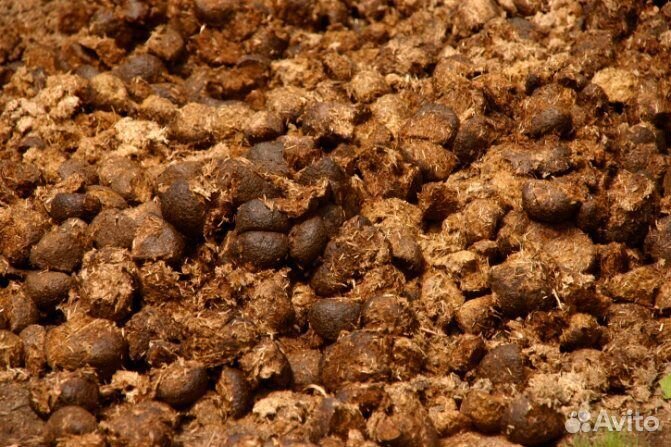 Конский Навоз. Навалом и в мешках. Доставка