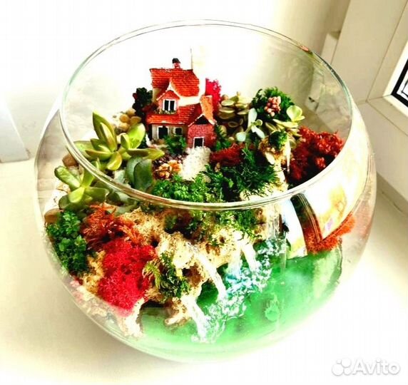 Флорариум Моссариум Подарок