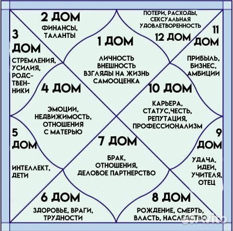 Астролог/консультация /обучение